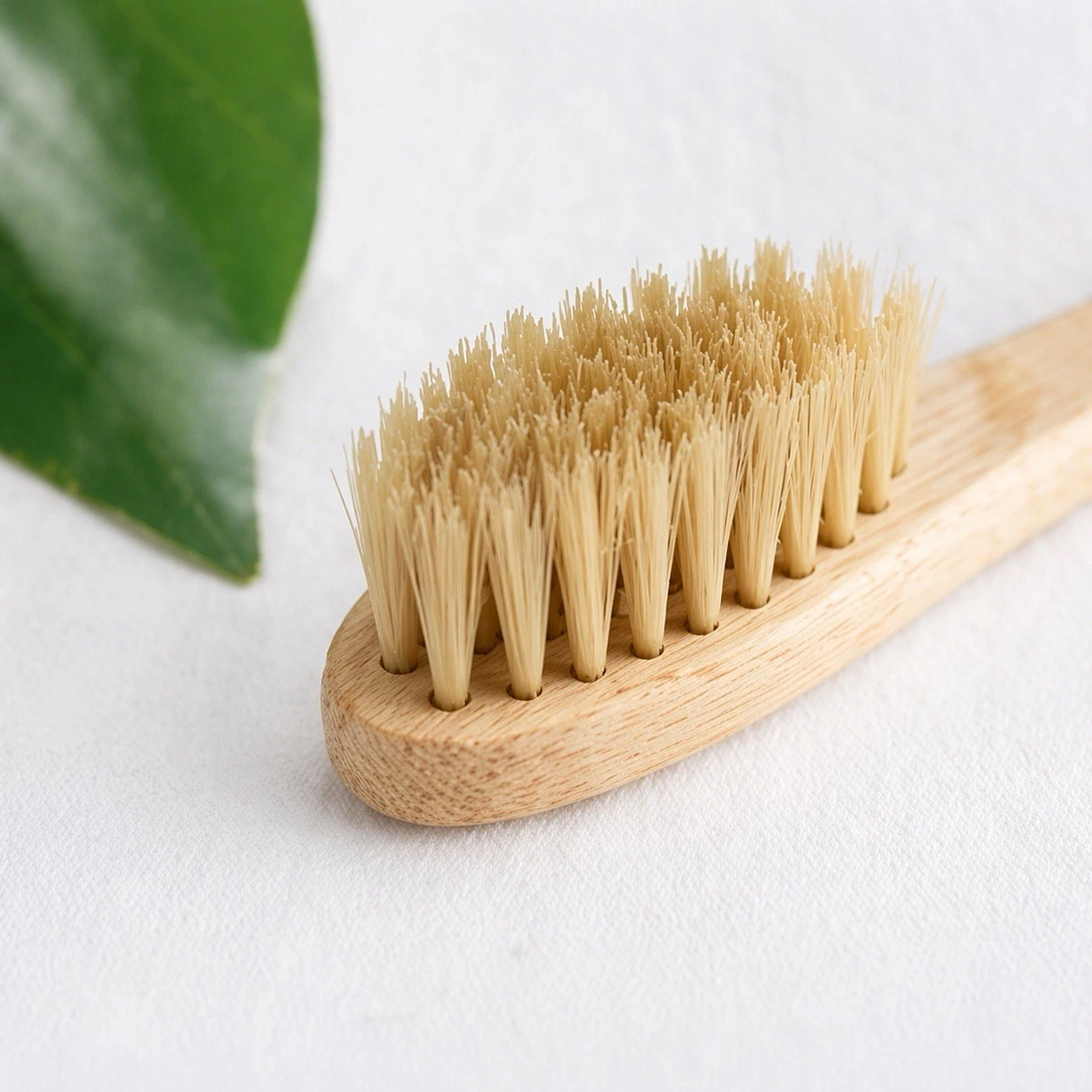 Close-up of natural boar bristles in the bamboo head